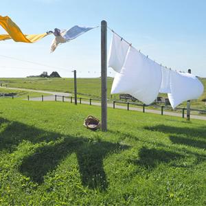 corde en nylon de pêche d'aimant de 8mm 65 pieds de corde de sécurité avec Carabiner 9